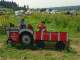 The kids get to run their own hay ride.